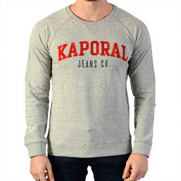 Sweat-shirt Garçon Kaporal Racou Gris Coton Printemps