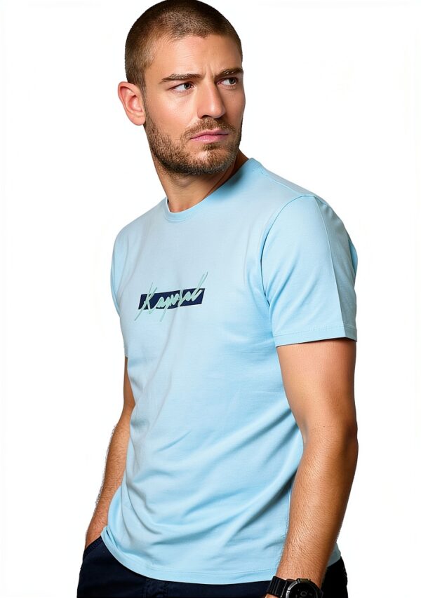 Pavo Monitor Arm Ergonomic Aluminum Desk Mount for