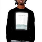 Image du produit précédent