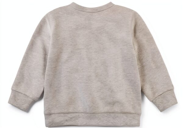 Levi's Kids sweatshirts bébé garçon gris suédé-1