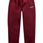 Levi's Kids Jogger Pant garçon Robe Bleue 12 ans 60/40 molleton-0
