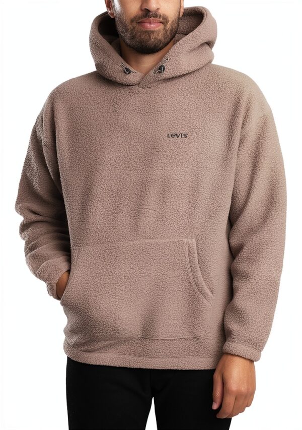 Sweat à capuche Levi's Homme Coupe régulière couleur Gris XS à XL-1