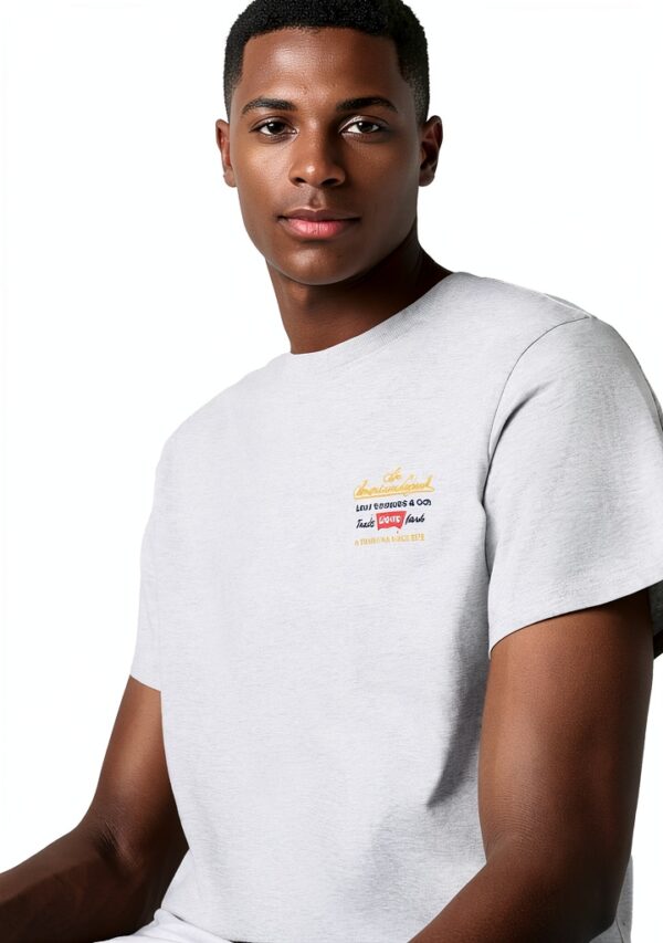 T-shirt homme Levi's modèle 16143 coupe classique tissu doux-3