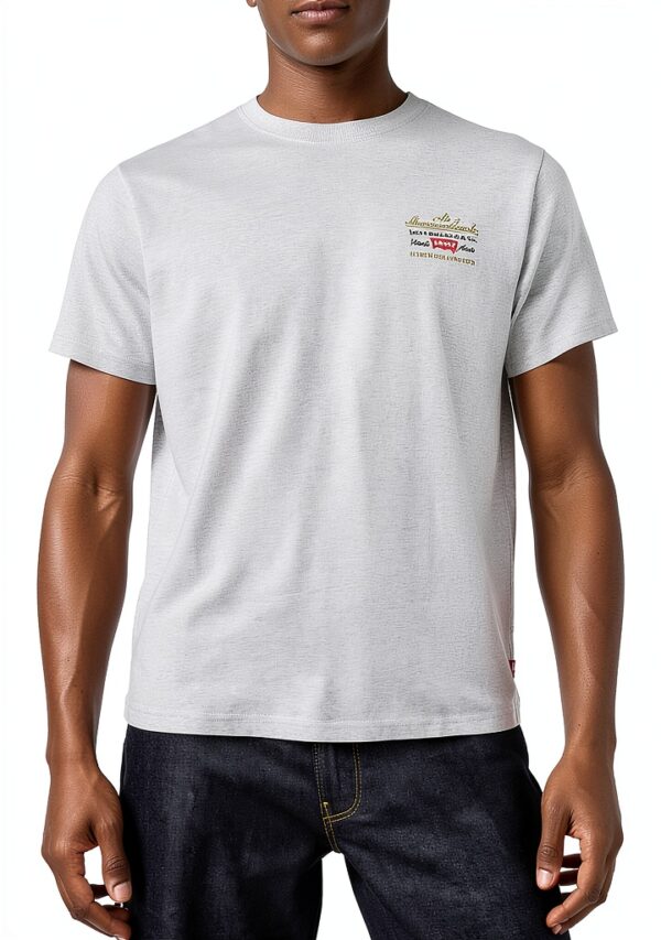 T-shirt homme Levi's modèle 16143 coupe classique tissu doux-2