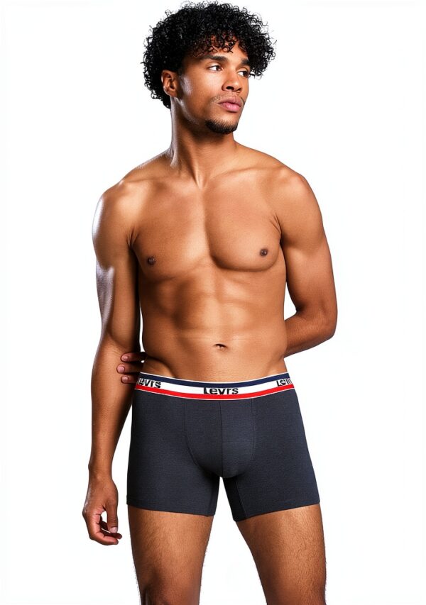 Levis Sportswear Boxer Brief Homme Pack Khaki L – Coton bio, Soufflet-2